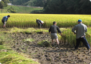 野球クラブ